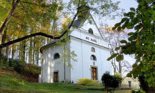 Novoroční vycházka na Hory