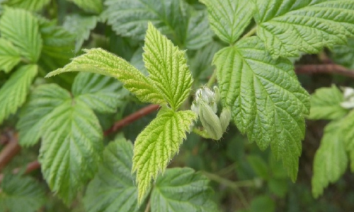 Setkání mládeže 15+ (14+)