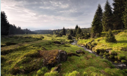 ŠUMAVA 2026 pro mládež 12+