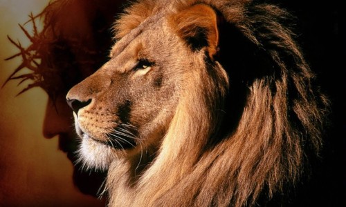 Setkání nad SLOVEM